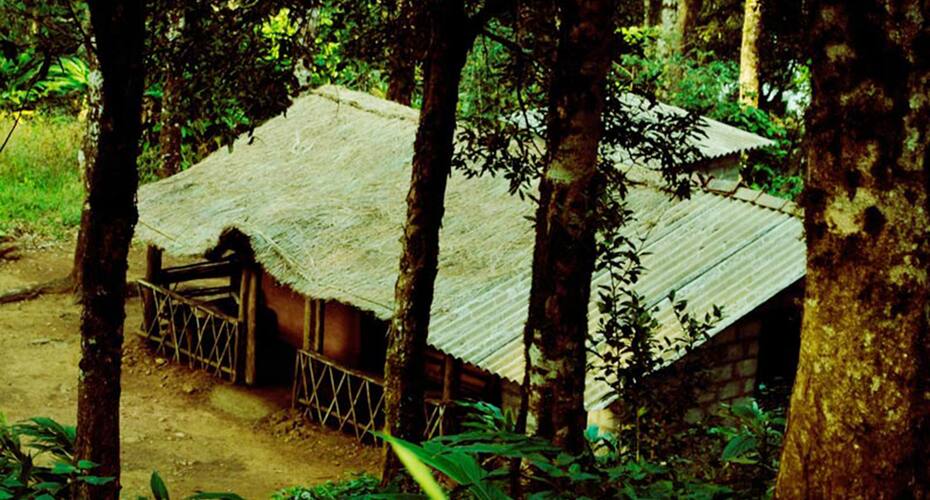 Ela Blooms, Thekkady 1